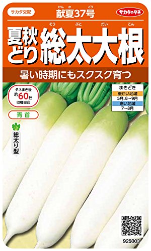 サカタのタネ 実咲野菜5003 夏秋どり総太大根 献夏37号 00925003