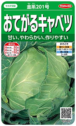 サカタのタネ 実咲野菜2002 おてがるキャベツ 金系201号 00922002