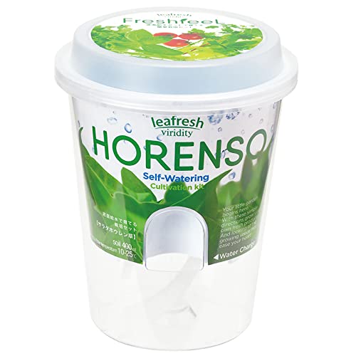 聖新陶芸 通年 家庭菜園 簡単 栽培キット ゆったり育てる サラダホウレンソウ ハーブ 野菜 栽培セット ( 自由研究 / 食育 ) 鉢の径約11cm フレッシ...