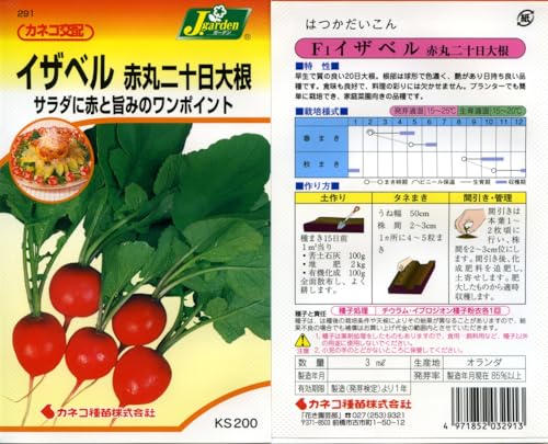 ͥ ݡ KS200꡼ ٥ ִ纬 200 291