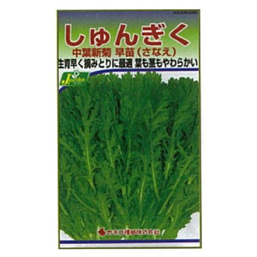 カネコ種苗 園芸・種 KS300シリーズ しゅんぎく 中葉新菊 早苗(さなえ) 野菜300 265