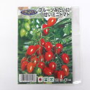 ITANSE 種子 フルーツみたいに甘いミニトマト 約10粒 1袋 品種で選べる タネ 学名 Solanum lycopersicum 英名 tzomato●プ...
