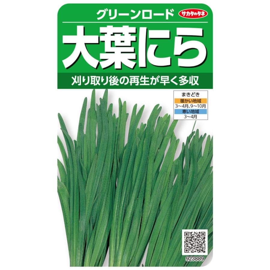 Υ ˥ դˤ ꡼ɤΥ κ᤯¿