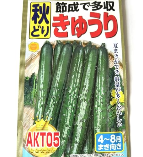 ɤ (夦μ) ¿ Ƥޤ衢̤¿ ޤޤ뤤ΤǼޤޤ