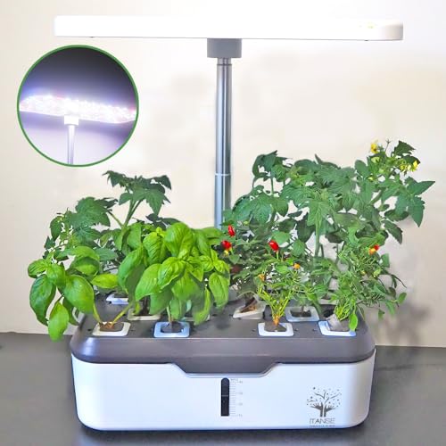 ITANSE ̺ݥޡȥץ󥿡 LED饤12 1/դ(ղƽ&ϡּAå)