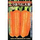 小林種苗 ニンジン うまべに人参