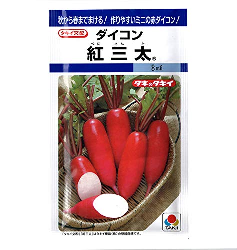 タキイ種苗 ミニ赤ダイコン 紅三太