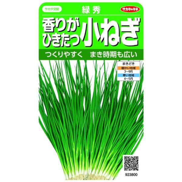 º ꤬Ҥľͤ н  ܿ1700 ս սޤ ڱ ñ ͥ եͥ ⤤