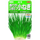 実咲 香りがひきたつ小ねぎ 緑秀 種 採苗本数1700 春秋兼用 春秋まき 家庭菜園 簡単栽培 小ネギ 葉ネギ 香り高い