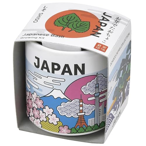 聖新陶芸 通年 家庭菜園 簡単 栽培キット しそ 野菜 栽培セット (自由研究/食育) 鉢の径約4cm お芽でたおちょこ JAPAN 日本 GD-99701