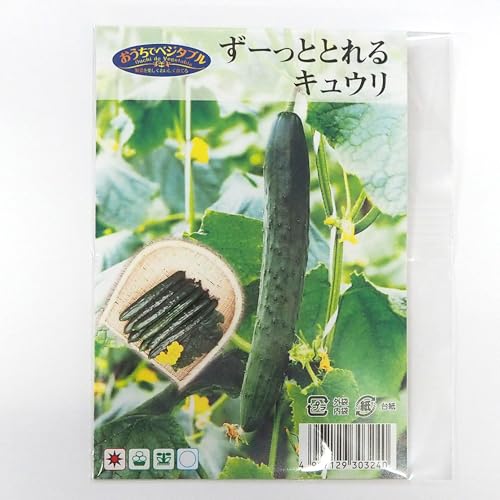 ITANSE 種子 ずーっととれるキュウリ 約8粒 1袋 品種で選べる タネ 学名 Cucumis sativus 英名 Cucumber●ずっと収穫が楽しめる...