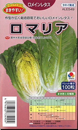 쥿  ޥꥢ ᥤ쥿 100γ