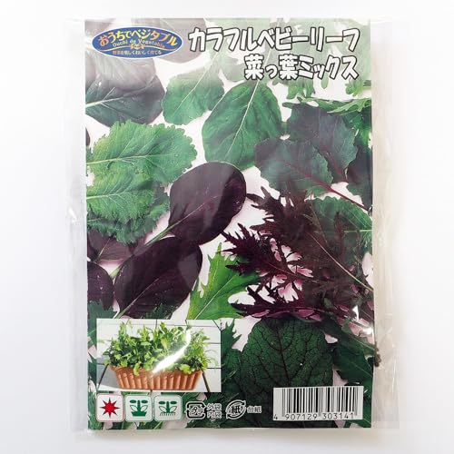 ITANSE 種子 カラフルベビーリーフ 菜っ葉ミックス 約20ml 1袋 品種で選べる タネ 学名 Brassica spp. 英名 Baby Leaf Mi...