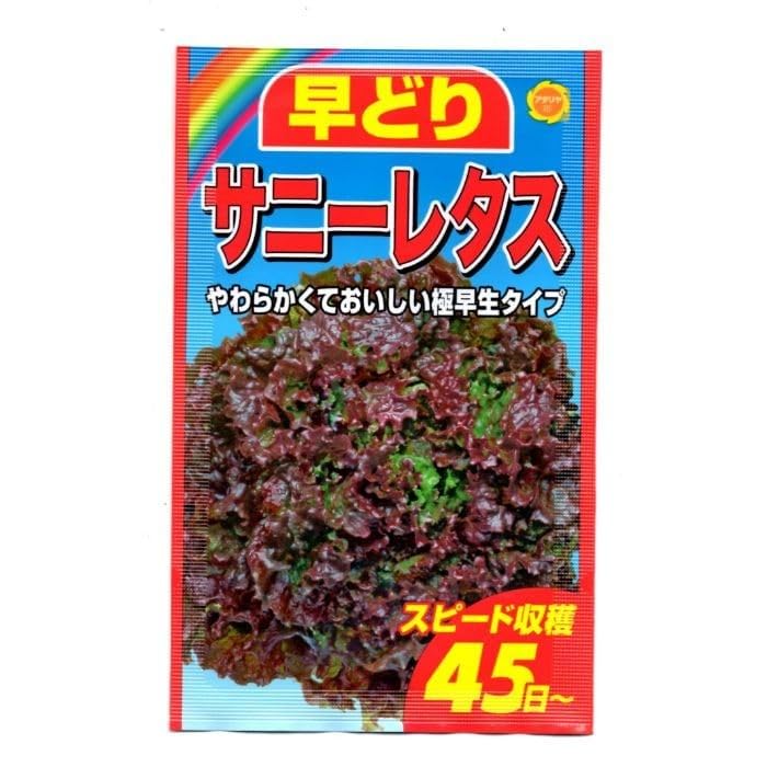 早どり サニーレタスの種 やわらかくておいしい 極早生タイプ