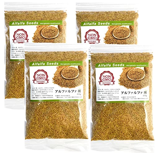 アルファルファ 種 1kg スプラウト 業務用 オーストラリア産