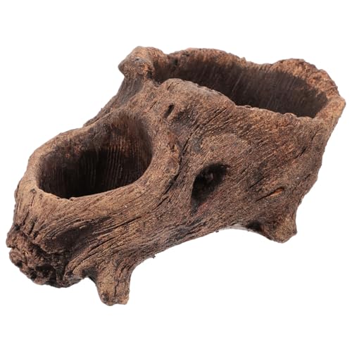 OUNONA ȭ տʪȭ  ͹ή ڤ  ¿ʪץ󥿡 ߺȭ ȥ     ե  Х륳ˡ ...