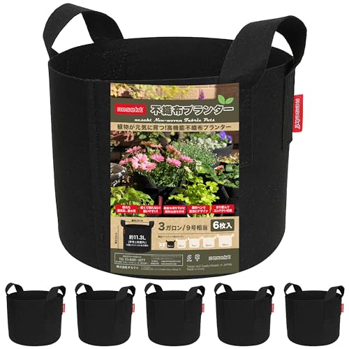 [ͥ]Կۥץ󥿡  ٥ ں ̼ ȭС ץ󥿡С[ܹ] (֥å6, 3 25߹2...