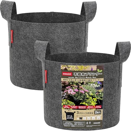 [ͥ]Կۥץ󥿡  ٥ ں ̼ ȭС ץ󥿡С[ܹ] (졼2, 3 25߹22...