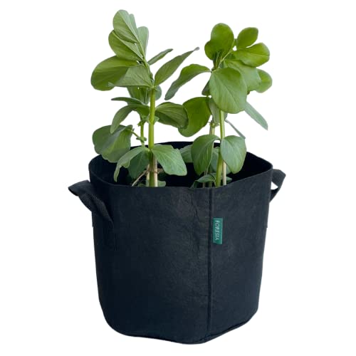 Կۥץ󥿡 3 2 ٥ Կۥݥå ȭ 24cm߹⤵22cm 10åȥ ڤ ʤ ڱ   ȭ ...