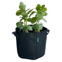 不織布プランター 3ガロン 2個入り ベランダ栽培 不織布ポット 植木鉢 幅24cm×高さ22cm 10リットル 軽い 割れない 家庭菜園 栽培袋 布袋 布鉢 ...