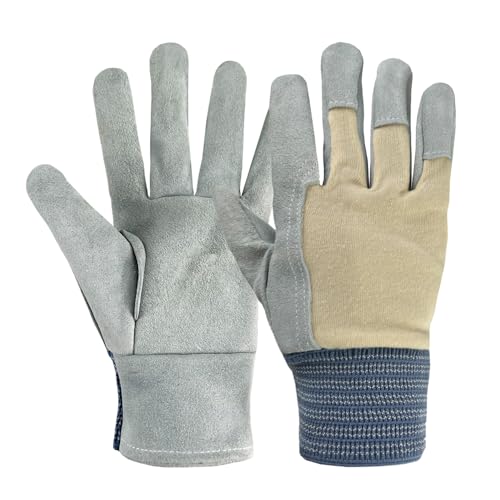 [DAYKET] פʵѼ Lɻɳ䡢ߤᡢ̵⤯۸ݡХ˺Ŭʷ