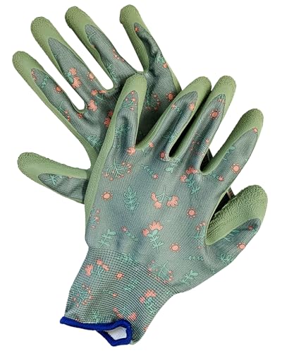 [LACCU] ǥ󥰥  ΤҤ饴 ȴ ͥӡ/졼/ (, M)