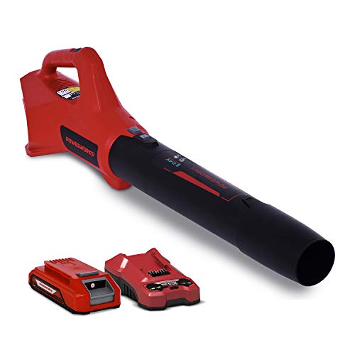 POWERWORKS パワーワークス ブロアー 充電式 24V 小型 洗車 落ち葉 P24AB (本体・バッテリー・充電器セ..
