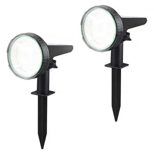 DODOGOD 顼饤 饤ȥ顼饤 ץӡ55  3ʳ뤵Ĵ ư/  ɳݤ 顼ݥåȥ饤 ...