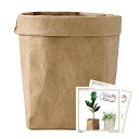 鉢カバー 植木鉢カバー 洗えるクラフト紙 観葉植物 プランターカバー おしゃれ 北欧 室内 シンプル インテリア 野菜果物収納 浴室用 旅行用 キッチン用 (M...