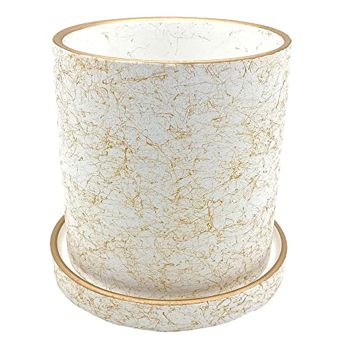 TKY ȭ ƫȭ ȭ ץ󥿡 ץȥݥå 4ȭ տʪ ¿ʪ  11cm (ۥ磻)