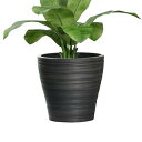 Greenship 植木鉢 3号 鉢カバー 小型テーブル鉢 プラスチック石複合材 手彫りU型 おしゃれ 鉢カバー グレイ