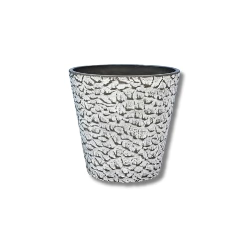 GreenShip ȭ տʪȭ ȭС 8 ؤ 㥳 ץ饹ȡ Ħ꡼ ӿ̵ ʪб