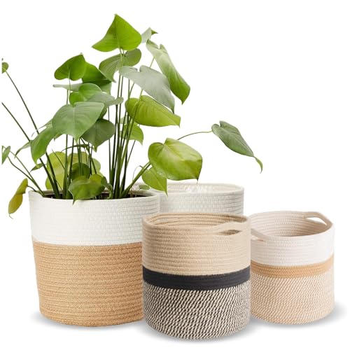 [] ȭС  ȭ С 5 6 7 8 9 Хå ȭ տʪ   ƥꥢ   (...