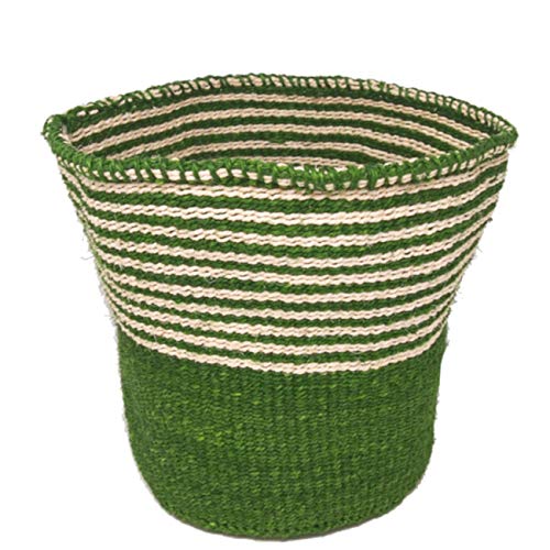 ORIKAGO  M −  ̲ ȭС 6 Ҷ − ϡեܡ 饤ȥ꡼󡦥ʥ