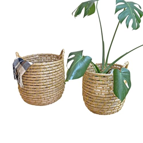 饹 Хå ȭС ȭ  ץ󥿡 10 9 ץ󥿡 С 饹 緿  ȭ ȭС  ץȥ...