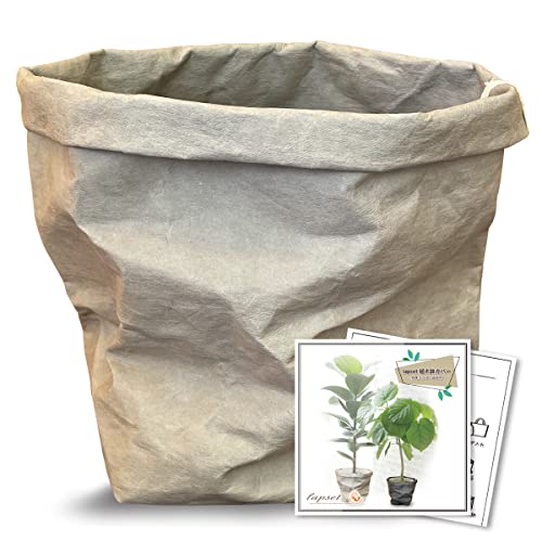 lapset ȭС տʪ  ̲  ŷǺ 쥶 ü쥯եȻ 7ȭ 졼 L