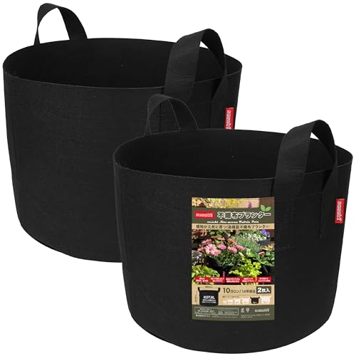 [ͥ]Կۥץ󥿡  ٥ ں ̼ ȭС ץ󥿡С[ܹ] (֥å2, 10 40߹...