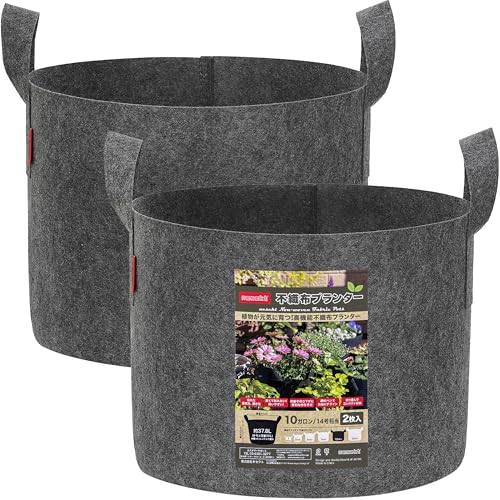 [ͥ]Կۥץ󥿡  ٥ ں ̼ ȭС ץ󥿡С[ܹ] (졼2, 10 40߹3...