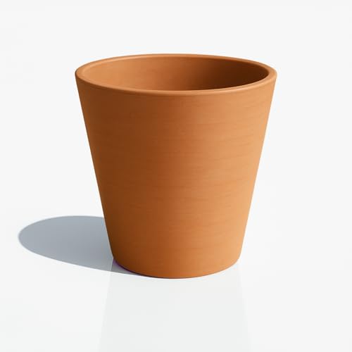 Greenship ȭ 412.7*12.7cm  ƥ饳å ץȭ ӿ̵ ȭС  ֥åݥå 60ʴ20󥷥...