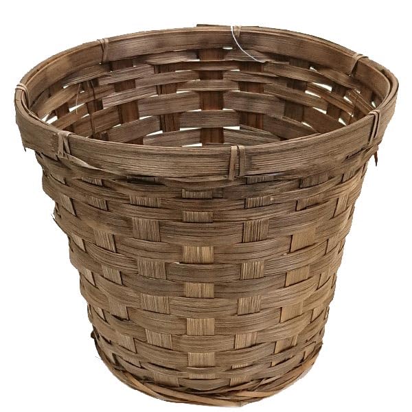 ݤ ȭС 5 ľ17cm߹⤵17cm 1ȭ 25-145b