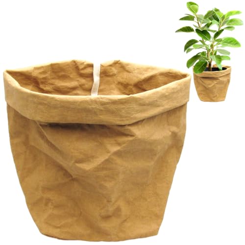 ץ󥿡С  տʪ ŷǺ եȻ  ȭС (S4ȭ, ١)