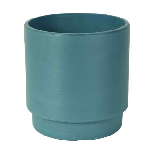 LEAD STYLE å١10 ꡼ɾ ȭС 󥸥١ (ǥ)