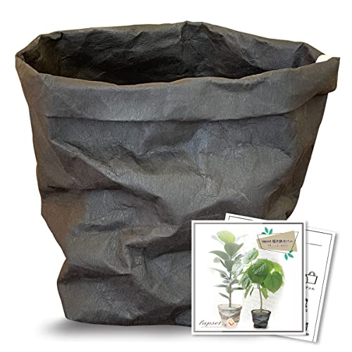 lapset ȭС տʪ  ̲  ŷǺ 쥶 ü쥯եȻ 5ȭ ֥å M