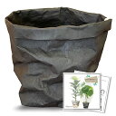 lapset 鉢カバー 観葉植物 おしゃれ 北欧 室内 天然素材 レザー 特殊クラフト紙 5号鉢相当 ブラック Mサイズ
