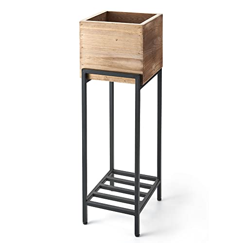 Asia-kobo ץ󥿡 դ   ѥ ȡ  5ȭ 51328