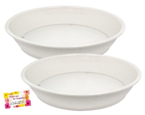 ڿȭʻѤᡪ ǥ˥ 䤨 к ӥǥ  8 ۥ磻 ݷ 244.5cm 1 2ĥåȡ