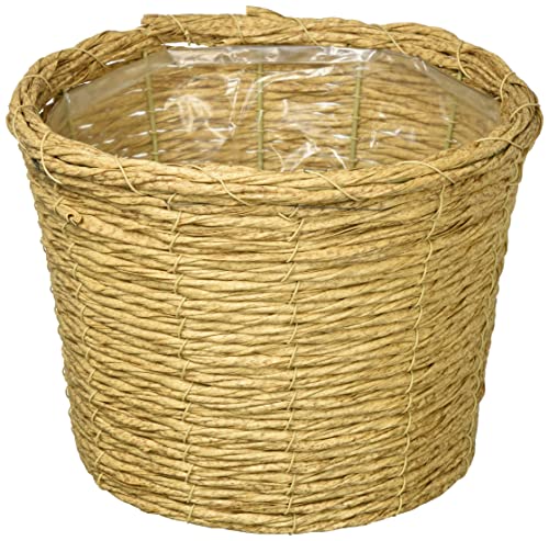 綶Ź ȭС PEץ󥿡 D6 ١