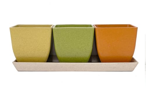 DEPOS ǥݥ ȭ ᥨݥå  ߤ դ (/꡼/, 3ȭ3ĥå)