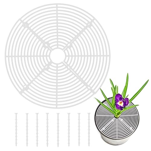 DEVENTORZ ȭå ȭС ľ30cm ̵ žɻ Ѳǽ ȭھɥС ھץƥݸ ǭк ȭС ...