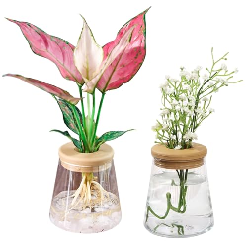 geneX ϥɥ㡼 ̺ տʪ å Ʃ ץ饹å ݥå (ե饹) 2å